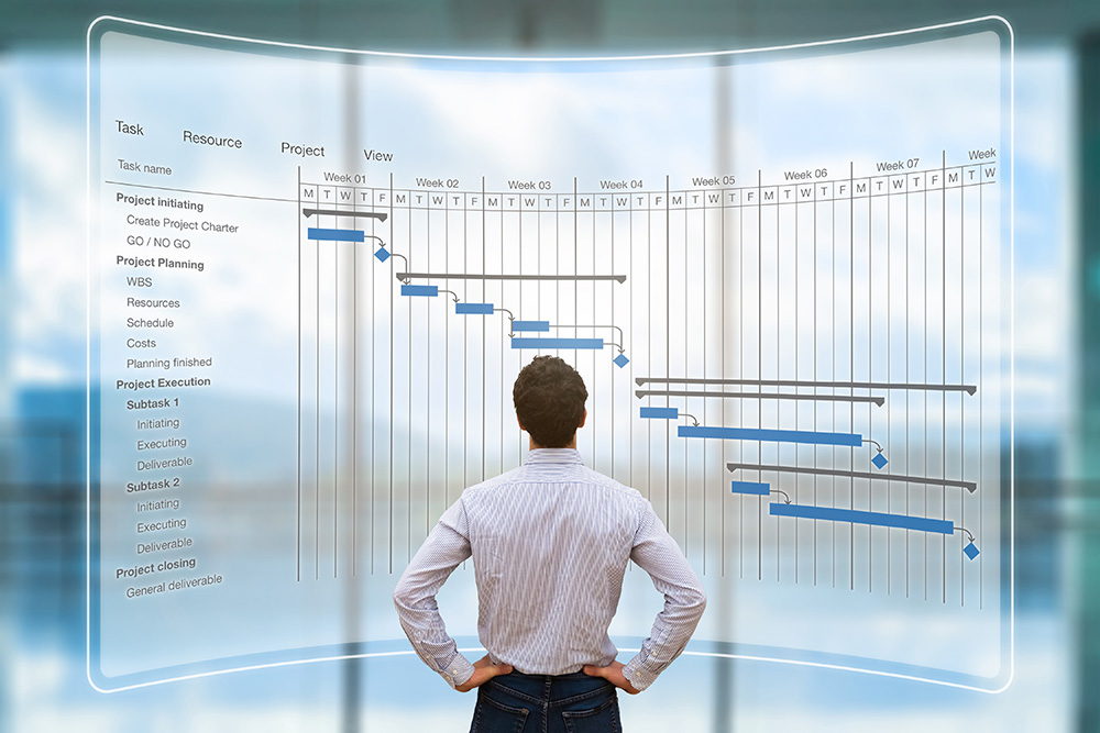 Healthcare Project Gantt Chart